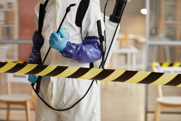 Professional Sewage Cleanup technician working in Glencoe, CA